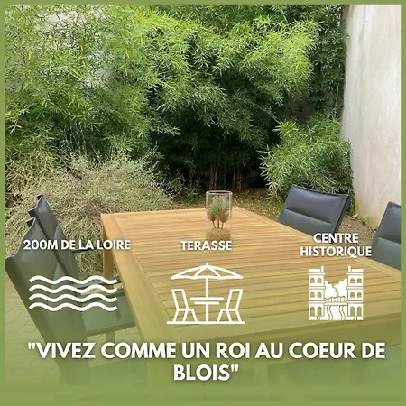 Le Nid Des Rois - Terrasse En Hyper Centre Apartment Blois Exterior photo